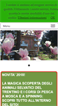 Mobile Screenshot of hotelsport.it